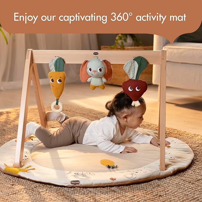Tiny Love Gardens of Adventure, Luxe Developmental Gymini