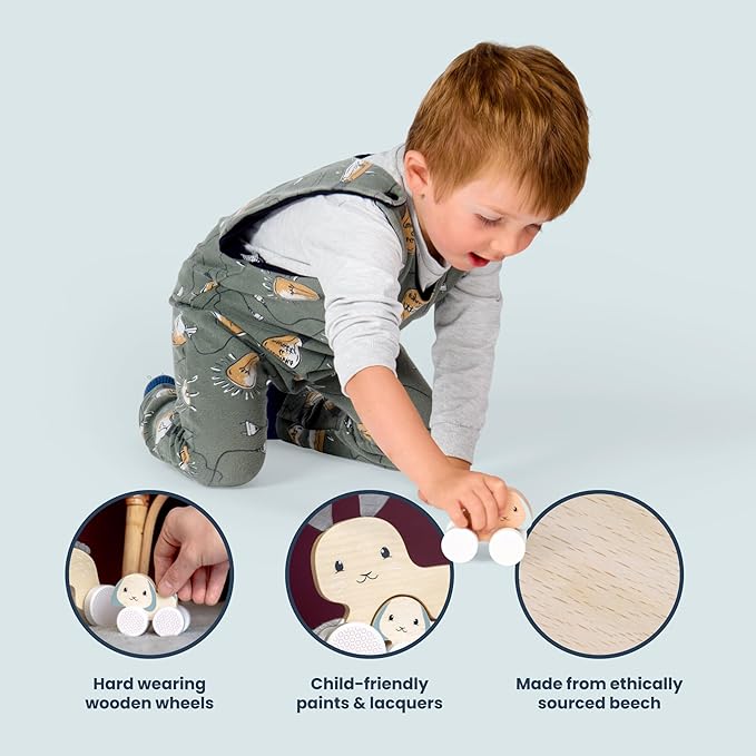 Bigjigs Toys FSC® Certified Bunny & Baby Pull Along Toy - Eco-Friendly Rabbit Pull Along with Cord & Baby Bunny Push-Along, Quality Pull Along Toys for 1 Year Olds, Wooden Baby Toys
