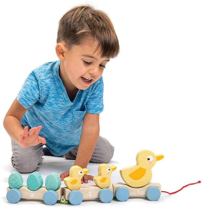 Pull Along Ducks