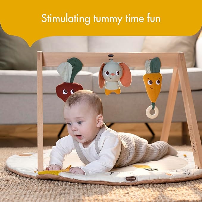 Tiny Love Gardens of Adventure, Luxe Developmental Gymini