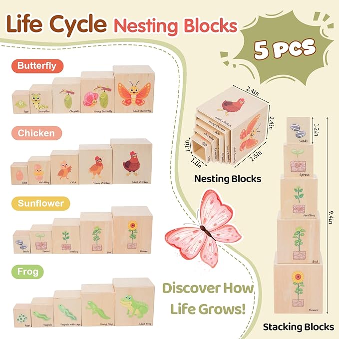 Wooden Life Cycle Nesting Blocks, Sorting & Stacking Montessori Toys for Kids, Preschool Educational Learning Cube Boxes for Toddlers 3+, Science Toy Set for Baby Boys & Girls (5 Pcs)