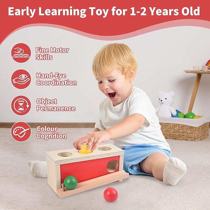 Montessori Toys Object Permanence Box, Ball Tracker Drop Push Toy for Baby Toddler Kid Preschooler 1-3,Early Learning Activity, Educational Cause and Effect Game,Gift for Boys Girls