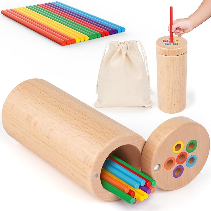 Vanplay Montessori Toddler Toys for 2 3 Year Old, Color Matching Toys for Toddlers 3, Fine Motor