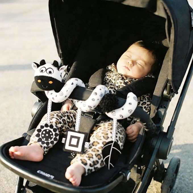 Multi-Use Baby Spiral Activity Toy – Spiral carseat Toy for Car Seat, Stroller,Play Gym, Keeps Baby Quiet, Easy Travel Solution