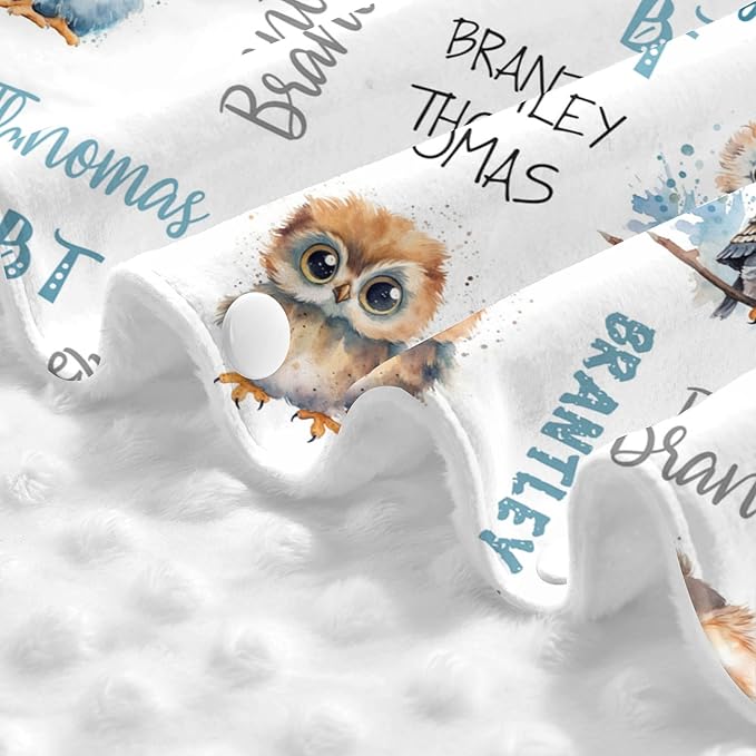 Personalized Baby Car Seat Cover Winter Custom Minky Carseat Cover Boy Girls with Name Owl Carseat Canopy Customized Car Seat Canopy Infant Carrier Covers Nursing Cover Toddler Blanket
