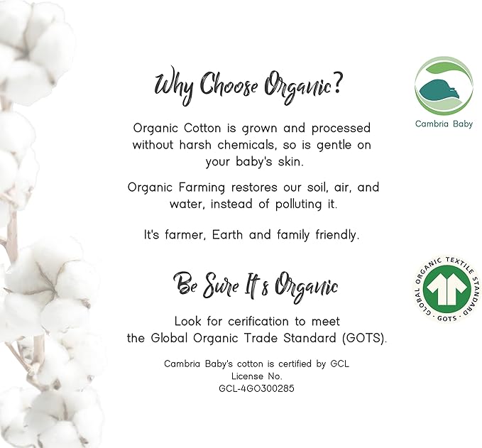 100% Organic Cotton Fitted Travel Crib Sheets, Perfectly Compatible with Guava Lotus, BabyBjorn, Dream On Me and All mattresses 22-26" Wide by 40-44" Long. Strap Holes in Corners. 2 Pk