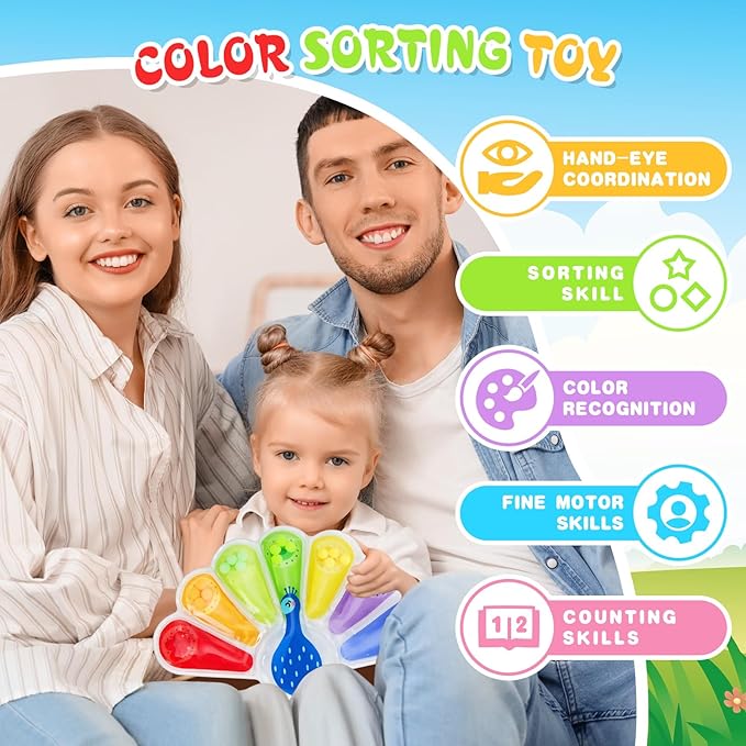 Color Sorting Toys Sensory Toys : Fine Motor Skill Games Learning for Toddlers, Color Matching Fidget Sensory for Calm Down, Preschool Learning & Educational Montessori with Autism