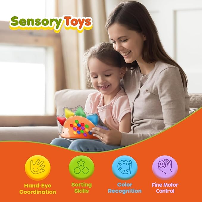 ZaxiDeel Color Sorting Sensory Toys for Kids : Roadtrip Travel Essenstial for Toddler, Color Matching Preschool Activities Educational Calm Down Montessori Toys for Boy Girl Gifts Ages 3+
