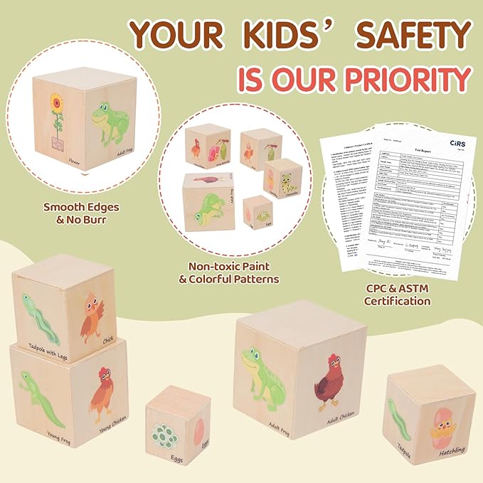 Wooden Life Cycle Nesting Blocks, Sorting & Stacking Montessori Toys for Kids, Preschool Educational Learning Cube Boxes for Toddlers 3+, Science Toy Set for Baby Boys & Girls (5 Pcs)