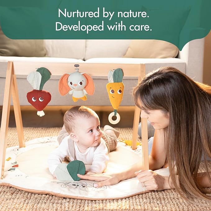 Tiny Love Gardens of Adventure, Luxe Developmental Gymini