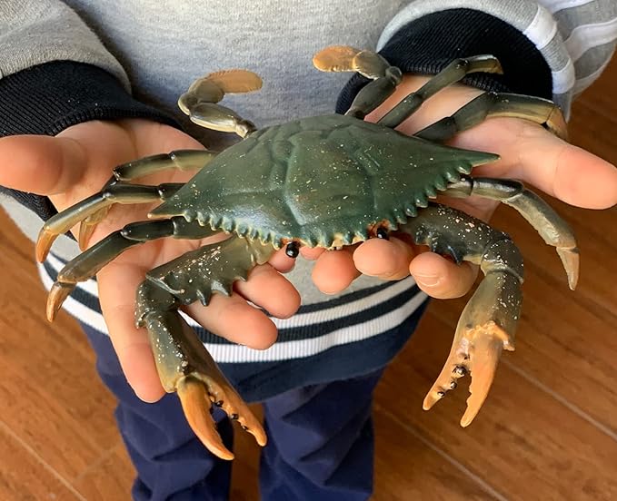 Gemini&Genius Crabs Animal Figures Marine Toys Realistic Sea Animal Action Figures Ocean Model Toy Stocking Stuffers, Role Play, Swim, Bath Toys for Kids