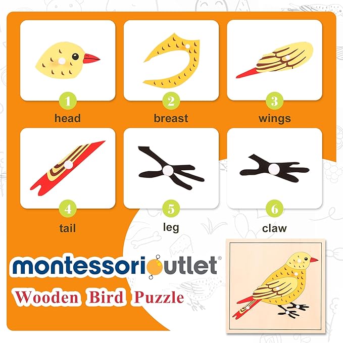 Montessori Bird Anatomy Puzzle, Wooden Body Parts Learning Toy, Preschool Science Puzzle for Kids Ages 3-6, Classroom & Homeschool, Baltic Birch