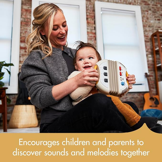 Tiny Love Tiny Rockers Accordion Baby Learning Toy