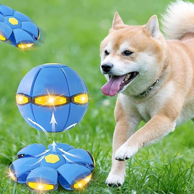 Child's Bouncing Ball, Magic Flying Saucer, Bouncy Ball, Child Bouncing Balls, Magic Pop Up Balls, Suitable for Indoor & Outdoor Use