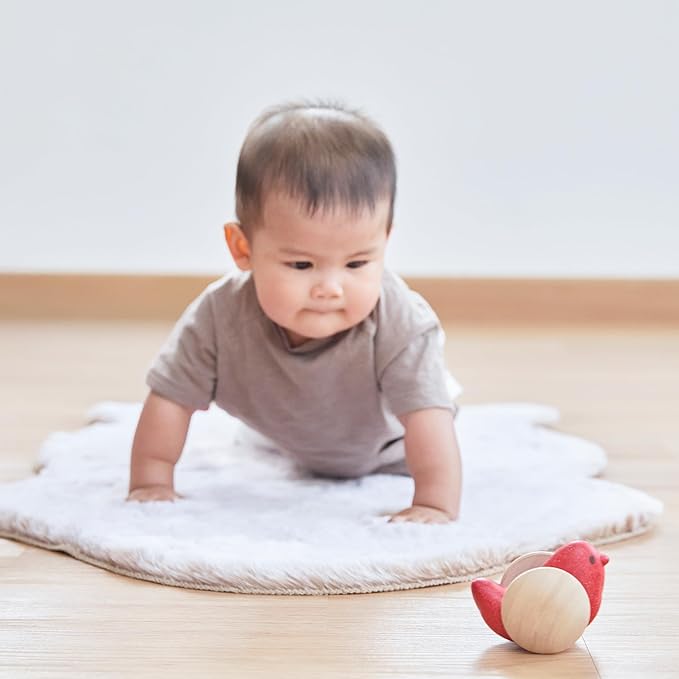 PlanToys® Wooden Bird Roller Toy | Montessori Inspired Rolling Toy for Crawling, Visual Tracking & Motor Skill Development | Eco Friendly Push & Chase Activity for Babies