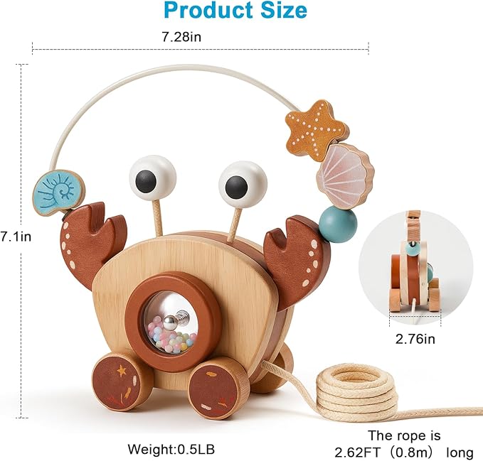 Pull-Along Walking Toys for Babies 12 Months +,4 in 1 Push and Pull Toy for Toddlers Aged 1-2 and 3-4 Years Old, Wooden Baby Toys, Montessori Early Development Sensory Toy