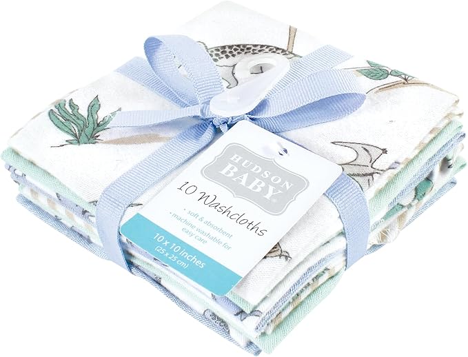 Hudson Baby Unisex Baby Flannel Washcloths, Boy Dino World 10Pk, One Size
