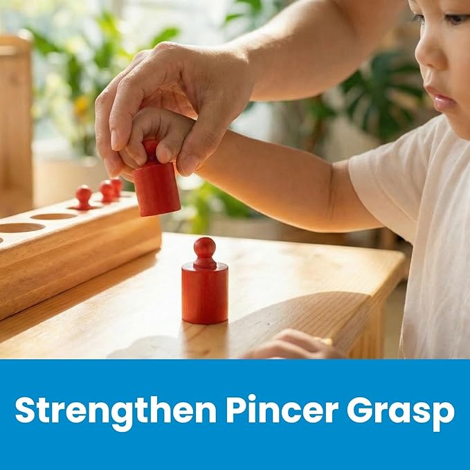 BOHS Montessori Knobbed Cylinders Blocks - 6 Pegs / 6.7 Inches - Colorful Wooden Early Home School Toys - 4pcs Set