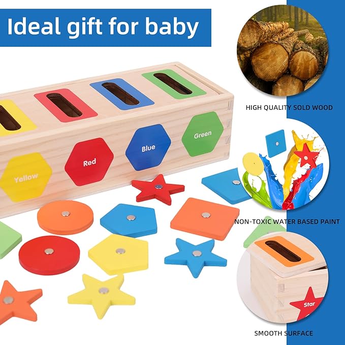 Montessori for Toddlers, Magnetic Color Shape Sorting Matching Box, Early Learning Toys, Wooden Educational Toy, Fine Motor Skills Toys for Boys Girls