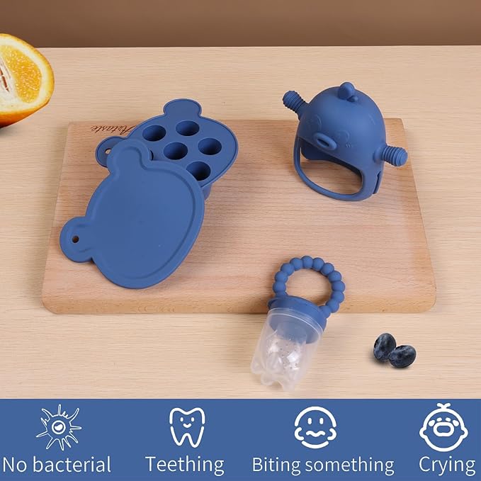 6-in-1 Baby Fruit Feeder Pacifier & Baby Food Feeder Set – Silicone Breastmilk Popsicle Mold with Freezer Tray, Teething Relief Toy, BPA Free Infant Feeder, 3 Sizes (S/M/L) Sacs (Steel Blue)