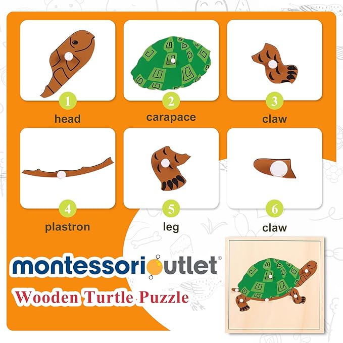 Montessori Wooden Turtle Puzzle for Kids Ages 3-6 – Educational Shape Sorting Toy for Preschool Learning, Fine Motor Skills & Problem Solving | Safe Toddler Puzzle for Home & Classroom (7-Pieces)