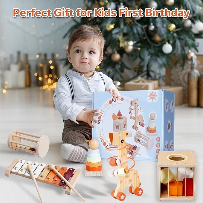 Wooden Montessori Toys for 6-12 Months,Montessori Baby Blocks Toy for 6-12-18 Months,Shape Sorting,Xylophone,Development Toys for Girls Boys Birthday Chiristmas Gifts