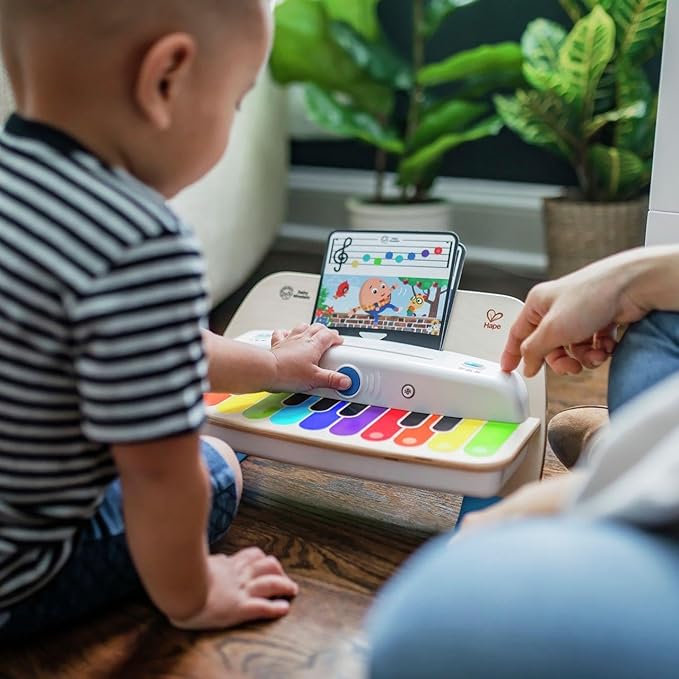 Hape - Toy, Multicolor (E12422C)
