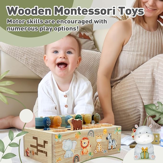 Montessori Wooden Toys for 1+ Year Old, 9 in 1 Montessori Toddler Toy with Preschool Educational Toys for 2+ Year Old, Birthday for Boys Girls