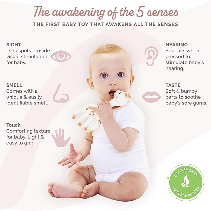 Sophie la girafe, Fresh Touch | Born in Paris | Since 1961 | Natural Rubber | Designed for Teething Babies | Awaken All 5 Senses | Easy to Clean
