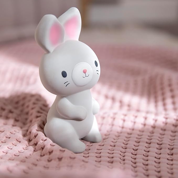 Sylvi Natural Rubber Baby Teether Toy, Rabbit Teething Toy for Sore Gums 0-6 Months, Soft Sensory Chew Toy Easy to Grasp for Infants 0+ Months, Gender Neutral