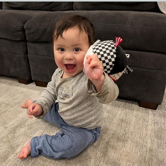 Soft Plush Baby Ball in High Contrast Colors, O Ball Shape with Bell Inside, Sensory Tags, 5", Perfect Size for Small Hands to Grasp, Great for Sensory Play, Tummy Time Toy, Gross Motor Development