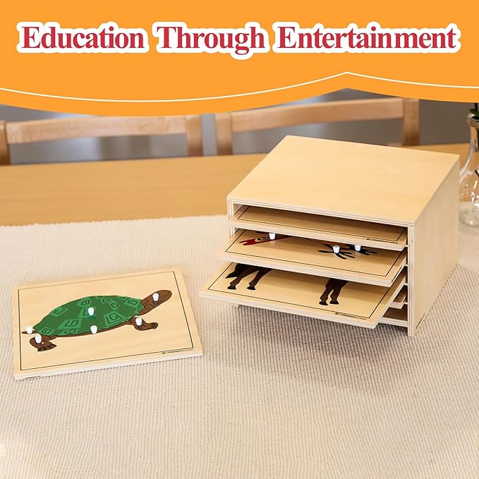 Montessori Wooden Turtle Puzzle for Kids Ages 3-6 – Educational Shape Sorting Toy for Preschool Learning, Fine Motor Skills & Problem Solving | Safe Toddler Puzzle for Home & Classroom (7-Pieces)