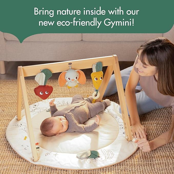Tiny Love Gardens of Adventure, Luxe Developmental Gymini