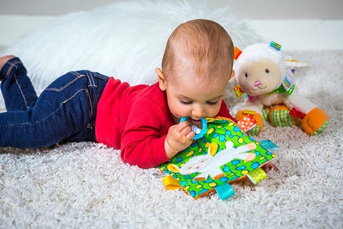 Taggies Crinkle Me Baby Toy, Sherbet Lamb (Pack of 2)