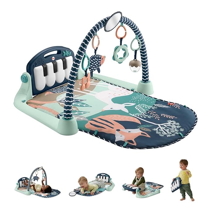 Fisher-Price Baby Portable Baby Chair Sit-Me-Up Floor Seat with Snack Tray and Developmental Toys, Puppy Perfection [Amazon Exclusive] & Kick & Play Piano Gym