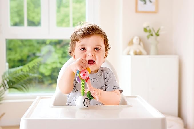 Hape Musical Flower Rattle | Multisensory Toy for Babies | Ideal for 0 Months Babies
