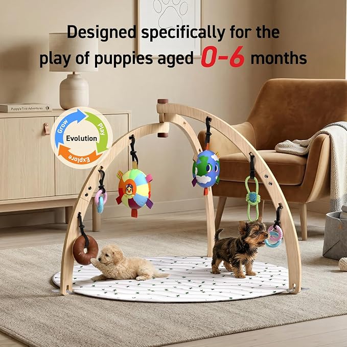 QDAN Puppy Play Gym, Wooden Frame with 6 Hanging Puppy Toys, Adjustable Straps, Puppy Enrichment Toys to Keep Them Busy