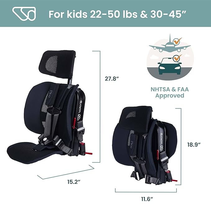 WAYB Pico Travel Car Seat Organizer Bundle