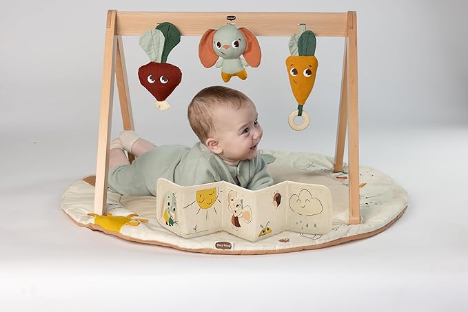 Tiny Love Gardens of Adventure, Luxe Developmental Gymini