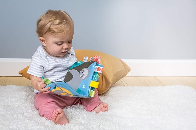 Taggies Touch & Feel Soft Cloth Book with Crinkle Paper & Squeaker, Molasses Sloth