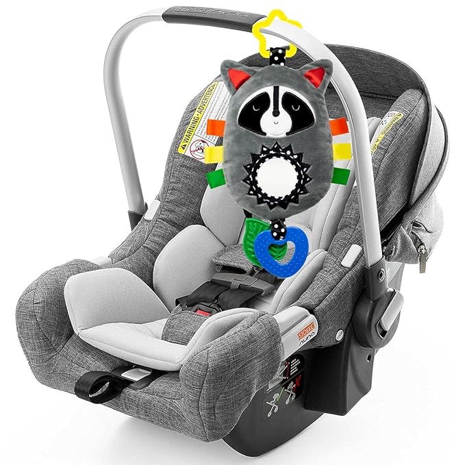 Squish 'N Play Raccoon Activity Toy- Multi-Sensory Learning Baby Toy - Stroller Toy, Car Seat Toy, Tummy Time Toy, Teether Toy, Baby Gift - with Mirror, Rattle & Taggies