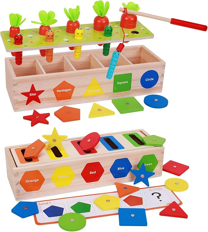 Montessori for Toddlers, Magnetic Color Shape Sorting Matching Box, Early Learning Toys, Wooden Educational Toy, Fine Motor Skills Toys for Boys Girls