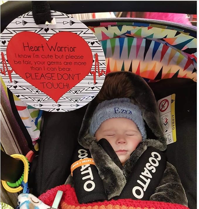 Three Little Tots Two Pack - Heart Warrior No Touching Baby Car Seat and Stroller Signs - CPSIA Safety Tested