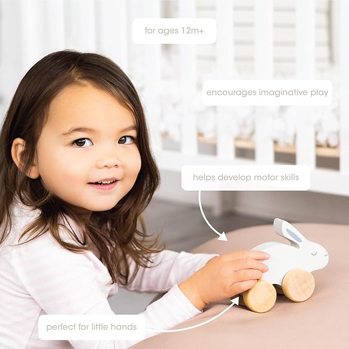 Pearhead Wooden Bunny Pull Along Toy – Montessori Wooden Rabbit Toy, Develops Motor Skills & Hand-Eye Coordination, Nursery Décor, Gender-Neutral First Birthday Gift for Boys and Girls, 1 Year Old+