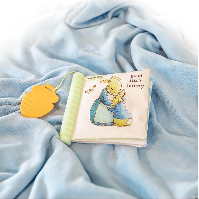 Beatrix Potter Peter Rabbit Soft Teether Book with Sensory Spine and Carrot Toy