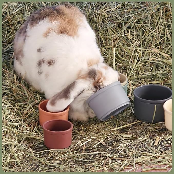 Qoaimu 8 Pcs Bunny Toys Stacking Cups for Rabbits and Small Animals, Colorful Reusable Nesting Cups of Different Sizes, Safe Plastic Stackable Foraging Toys for Hiding Food and Play