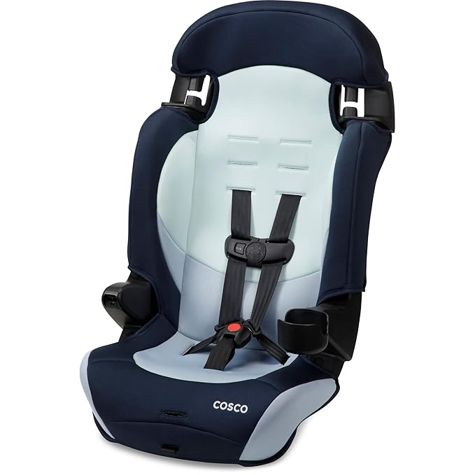 Cosco Kids Finale DX 2-in-1 Booster Car Seat, Forward Facing Toddler Car Seat (40-65 lbs) and Belt Positioning High Back Booster (40-100 lbs), Rainbow