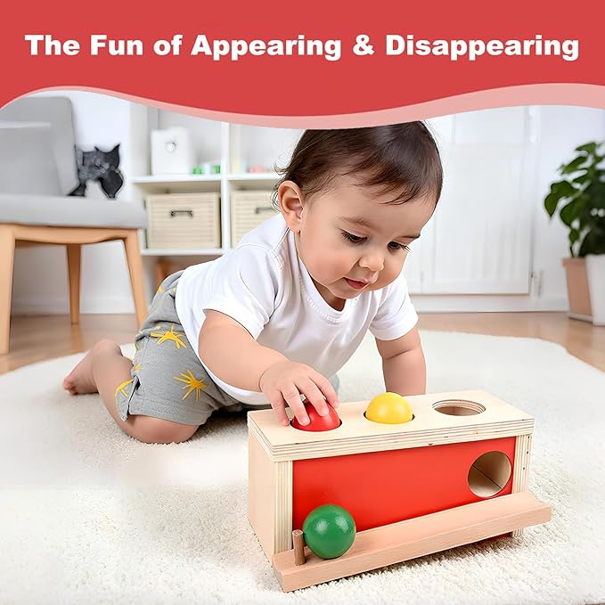 Montessori Toys Object Permanence Box, Ball Tracker Drop Push Toy for Baby Toddler Kid Preschooler 1-3,Early Learning Activity, Educational Cause and Effect Game,Gift for Boys Girls