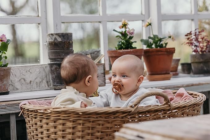 Bibs Pacifiers Color Collection, Set of 2 BPA-Free Latex Pacifiers Made in Europe, Round Nipple Baby Pacifier.
