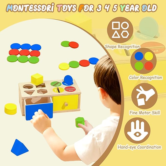 Biottro Montessori Toys for 3 4 5 Year Old - Shape Sorter Matching Color Sorting Recognization Sensory Toys for Toddlers Boy Girl Education Preschool Fine Motor Skills Box Gift